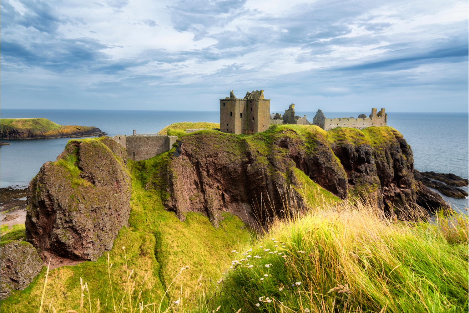 The ruins of Dunnottar Castle atop a grassy crag extending into the sea. Long green grass with white wild flowers are featured in the foreground.